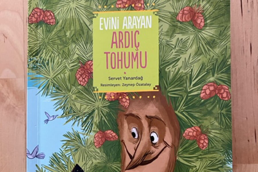 Evini Arayan Ardıç Tohumu